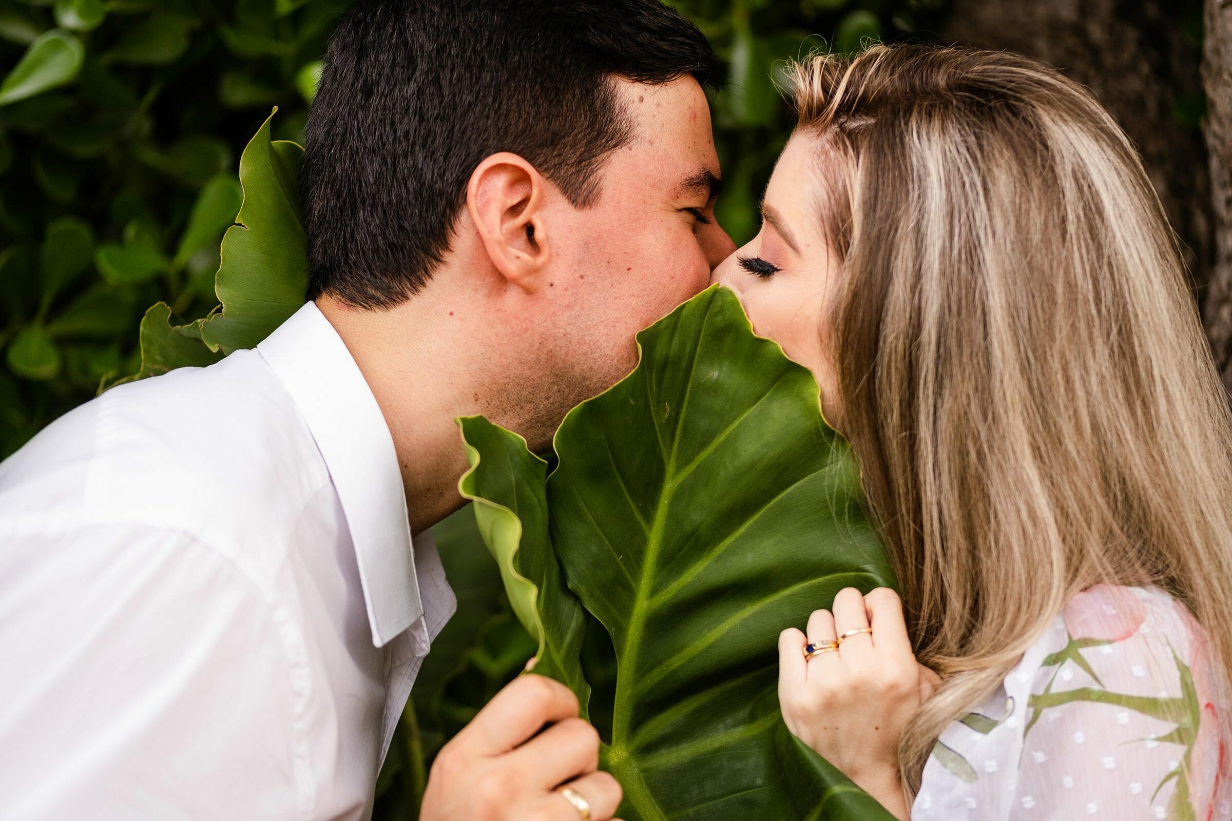 Casamentos, gestantes, 15 anos, ensaios