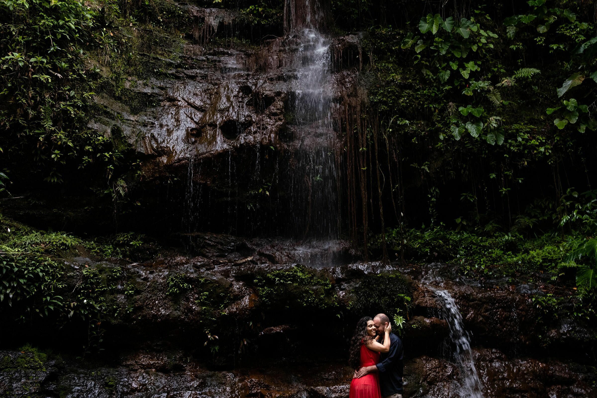 Casamentos, gestantes, 15 anos, ensaios