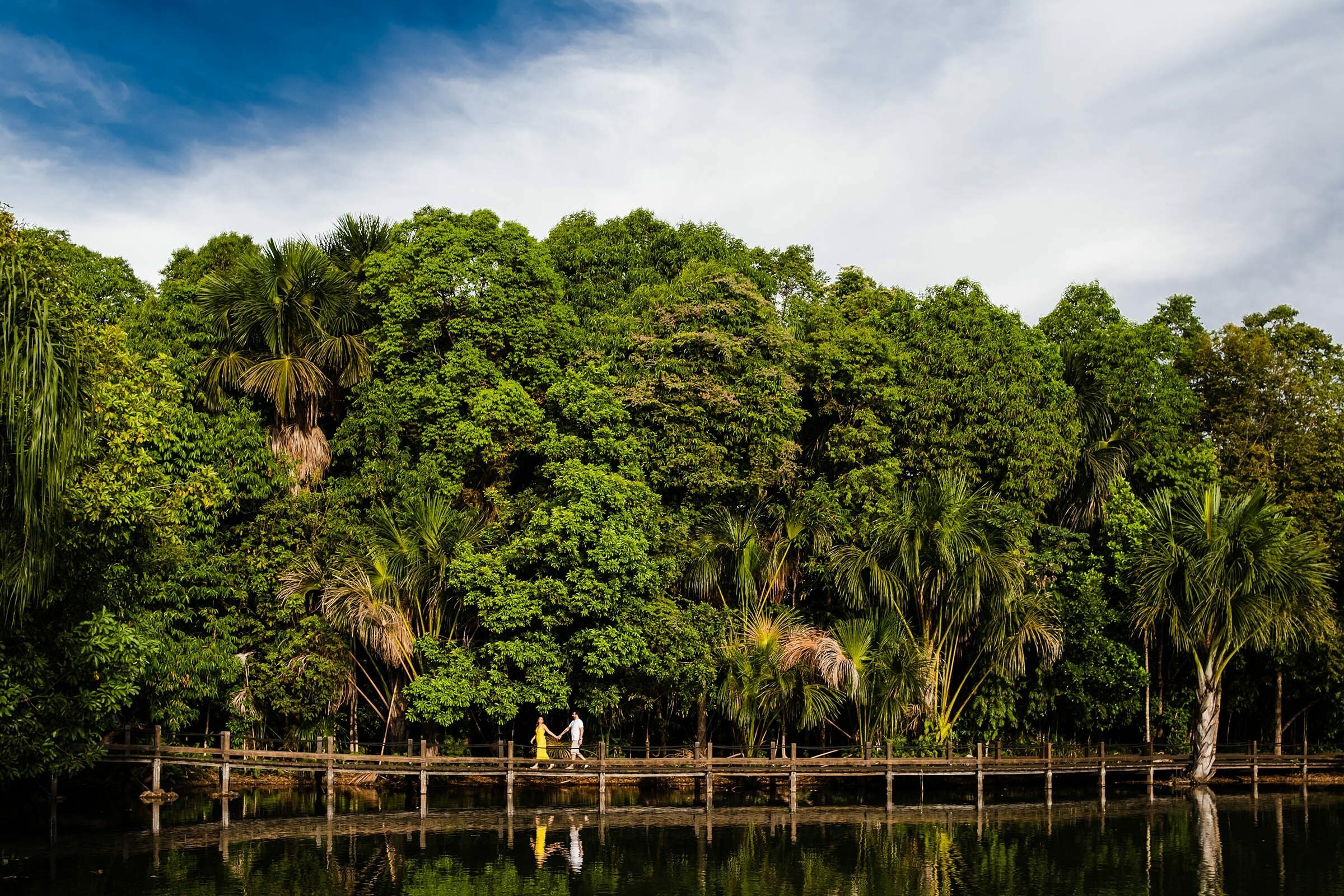 Casamentos, gestantes, 15 anos, ensaios