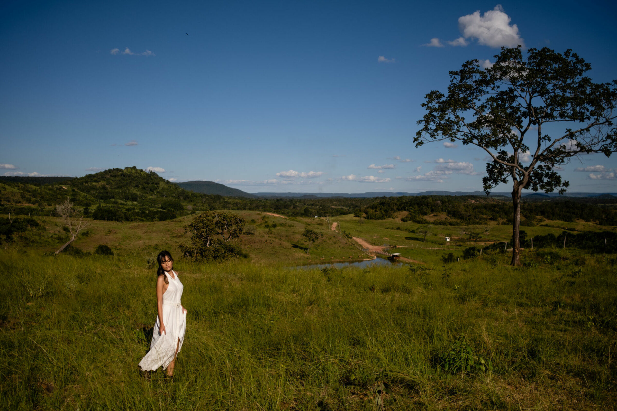 Casamentos, gestantes, 15 anos, ensaios