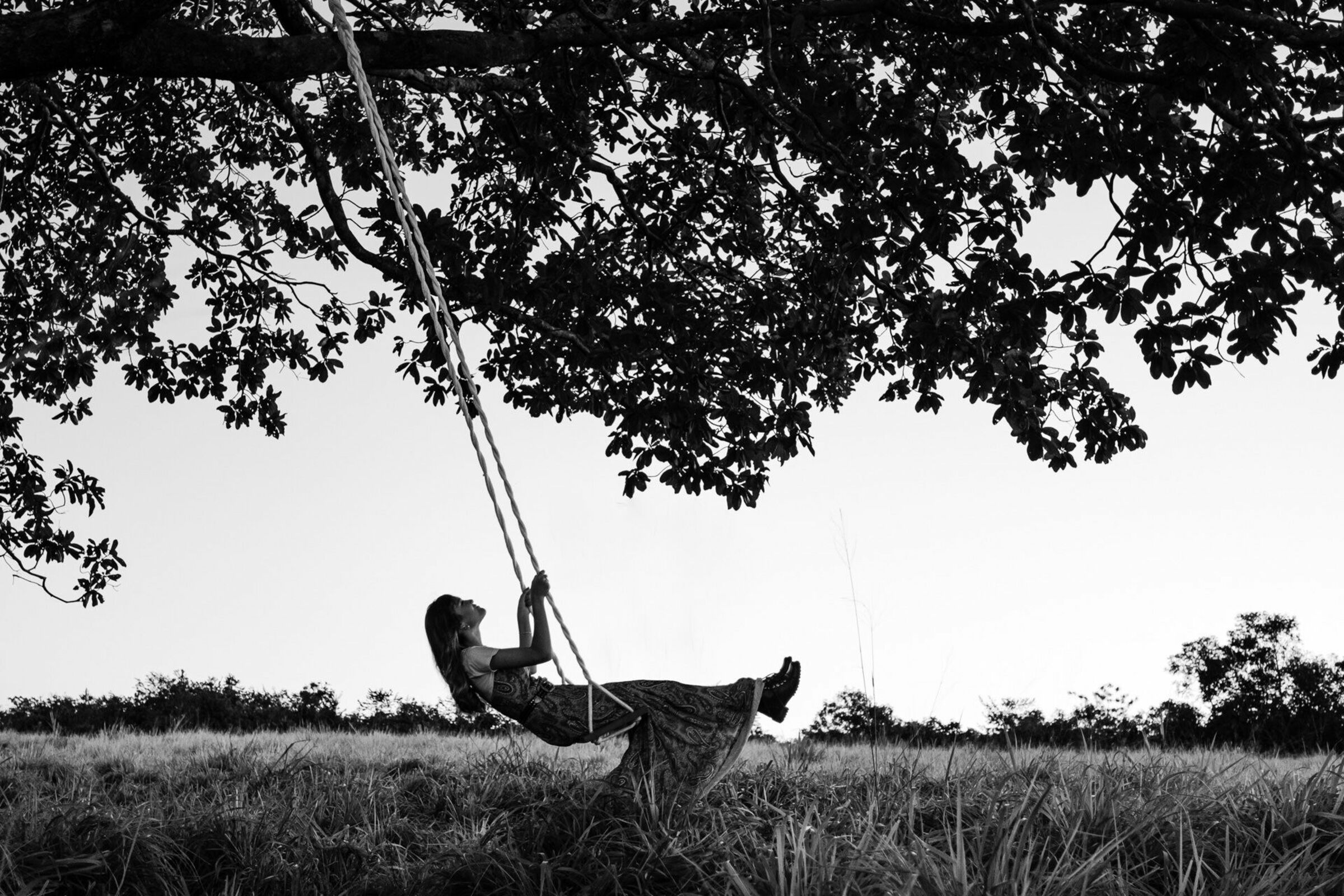 Casamentos, gestantes, 15 anos, ensaios