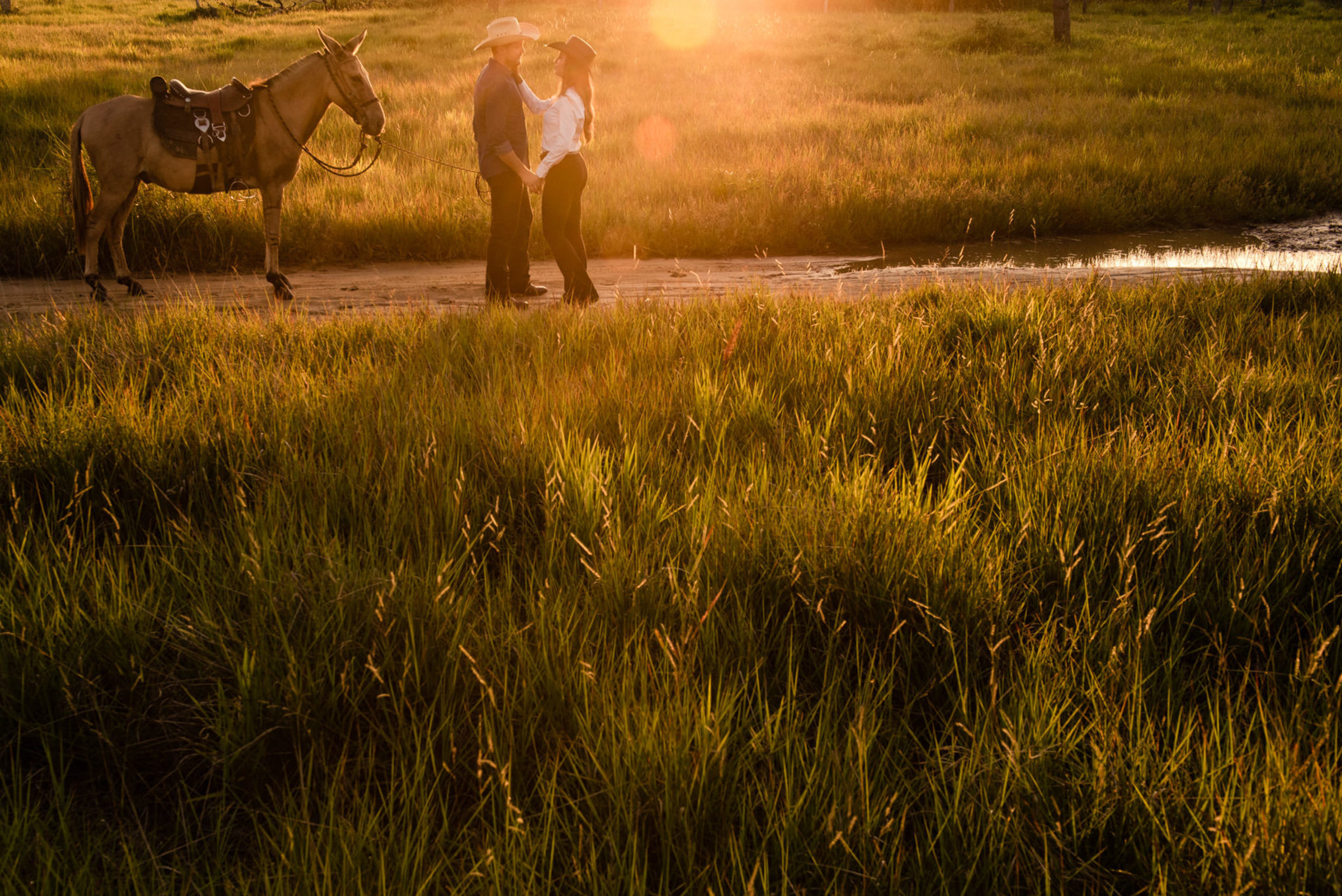 Casamentos, gestantes, 15 anos, ensaios