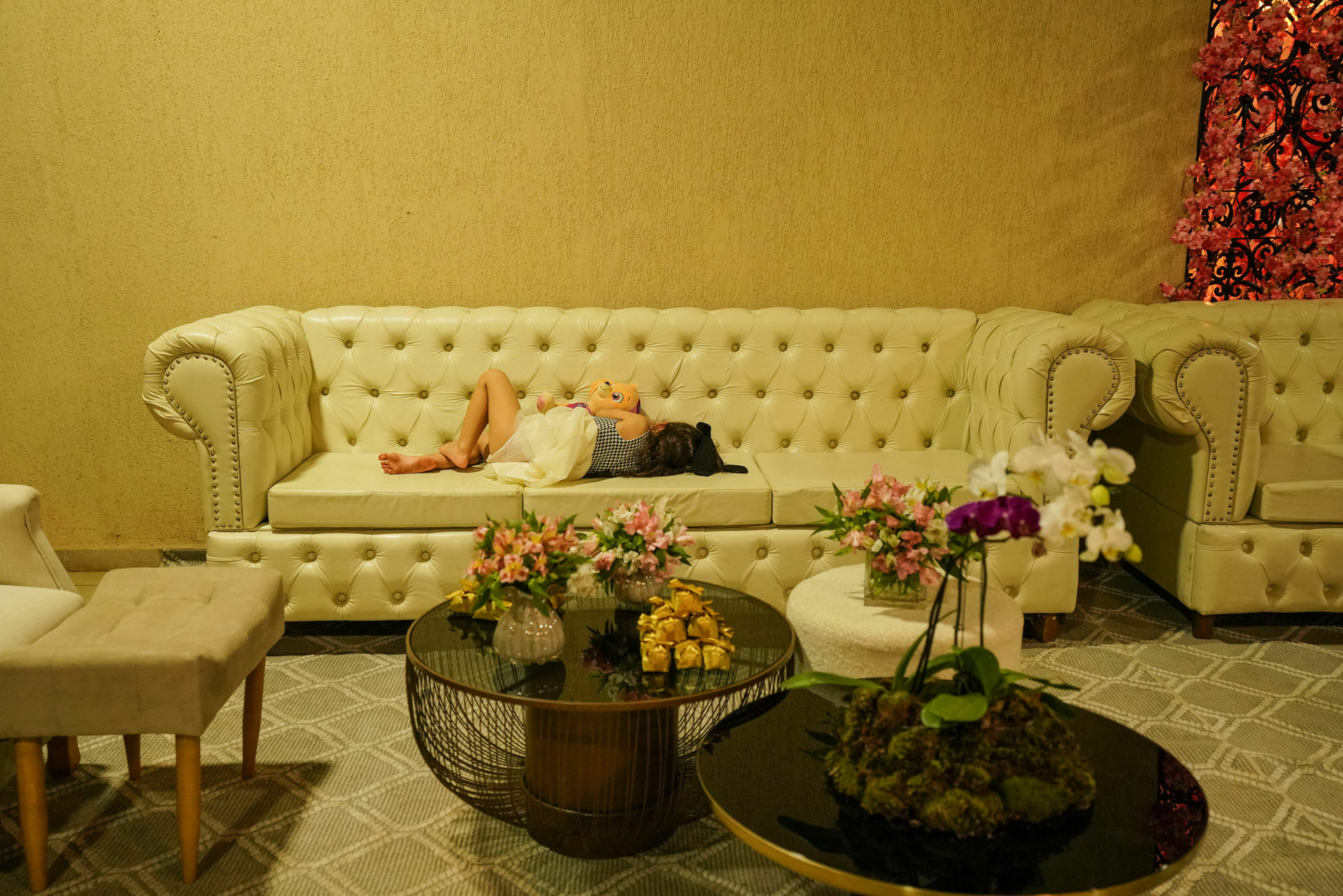 Foto Uma Jornada de Emoções: Os 50 Anos da Belly, Espaço Kazara, Palmas-TO Foto Uma Jornada de Emoções: Os 50 Anos da Belly, Espaço Kazara, Palmas-TO - Imagem 26